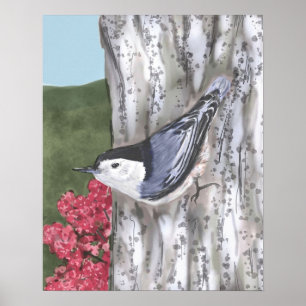 White-Breasted Nuthatch and Pink Flowers Poster
