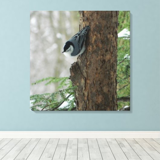 White Breasted Nuthatch (Forest) Canvas Print Leinwanddruck (Insitu (Holzboden))