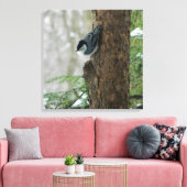 White Breasted Nuthatch (Forest) Canvas Print Leinwanddruck (Insitu (Wohnzimmer))