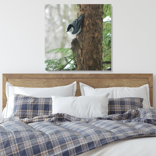 White Breasted Nuthatch (Forest) Canvas Print Leinwanddruck (Insitu (Schlafzimmer))