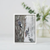 White Breasted Nuthatch - Robert Bruce Horsfall Postkarte (Stehend Vorderseite)