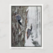 White Breasted Nuthatch - Robert Bruce Horsfall Postkarte (Vorderseite)