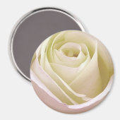 White Bridal Rose Magnet (Vorderseite/Rückseite)