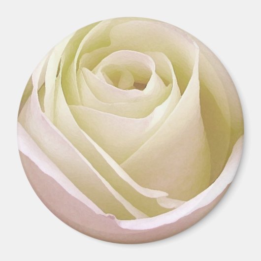 White Bridal Rose Magnet (Vorne)