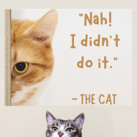White Brown Funny Cat Meme Relating Moment
