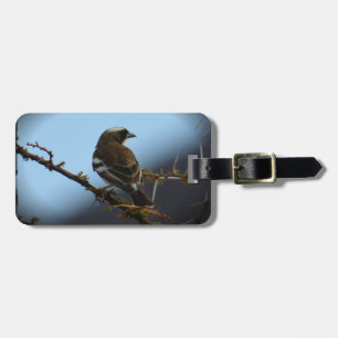 White Broyed Sparrow Weaver African Bird Bag Tag Gepäckanhänger