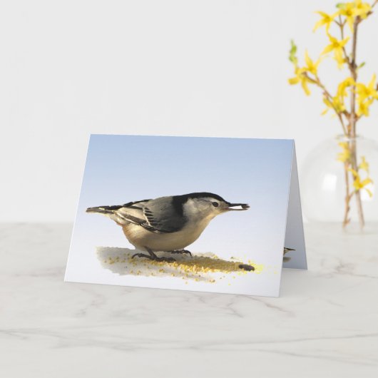 White-Brust-Nuthatch-Freundschaft Karte (Gelbe Blume)