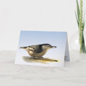 White-Brust-Nuthatch-Freundschaft Karte (Vorderseite)