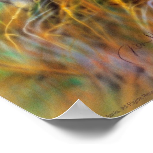 White Buffalo Poster (Ecke)