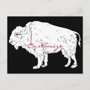 White Buffalo Thunder_Cove Postkarte