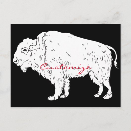 White Buffalo Thunder_Cove Postkarte (Vorderseite)
