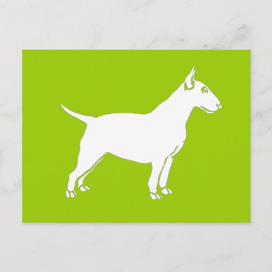 White Bull Terrier Postkarte (Vorderseite)