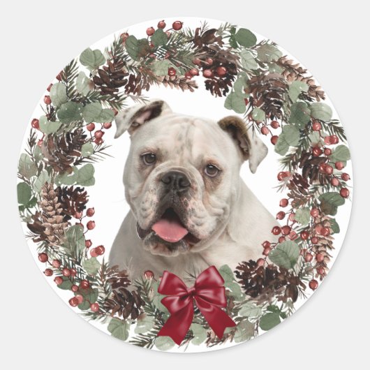 White Bulldog Pinecone Wreath Runder Aufkleber (Vorderseite)