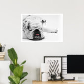 White Bulldog Sleeping Poster (Heimbüro)