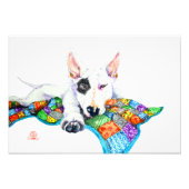 White Bullterer on Patchwork - Kunst Fotodruck (Vorne)