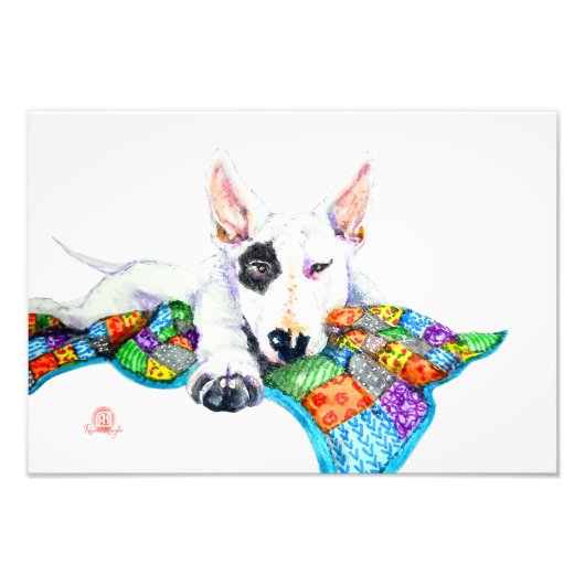 White Bullterer on Patchwork - Kunst Fotodruck (Vorne)