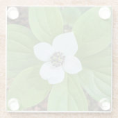 White Bunchberry Dogwood Bloom Floral Glasuntersetzer (Rückseite)
