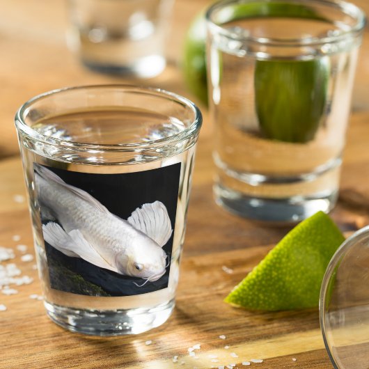 White Butterfly Koi Foto Schnapsglas