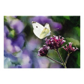 White Butterfly Watercolor Fotodruck (Vorne)