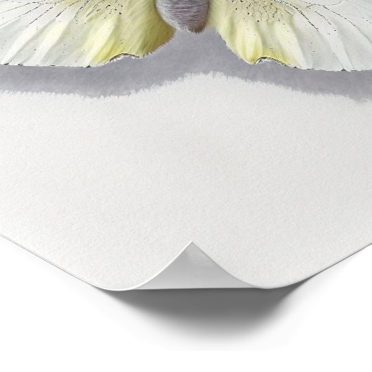 White Cabbage Butterfly Art Print Poster (Ecke)