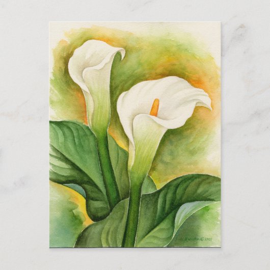 White Cala Lily Floral Wasserfarbe Postkarte (Vorderseite)