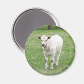 White Calf Round Magnet (Vorderseite/Rückseite)