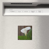 White Cali Lily Magnet (In Situ (Geschirrspüler))