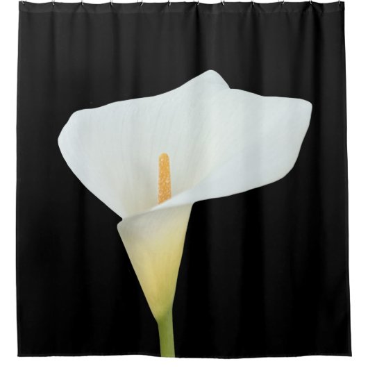 White Calla Blume Gartengarten Foto Duschvorhang (Vorderseite)