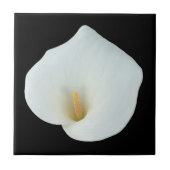 White Calla Blume Gartengarten Foto Fliese (Vorderseite)