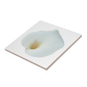 White Calla Blume Gartengarten Foto Fliese (Seite)