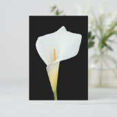 White Calla Blume Gartengarten Foto Karte (Stehend Vorderseite)