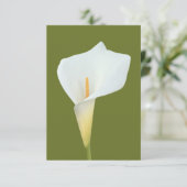 White Calla Blume Gartengarten Foto Karte (Stehend Vorderseite)