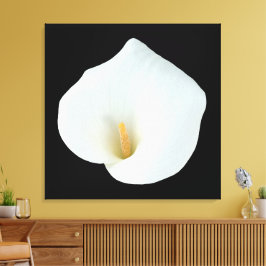 White Calla Blume Gartengarten Foto Leinwanddruck