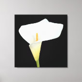 White Calla Blume Gartengarten Foto Leinwanddruck (Vorderseite)