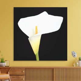 White Calla Blume Gartengarten Foto Leinwanddruck