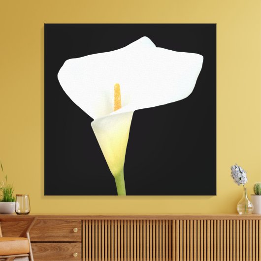 White Calla Blume Gartengarten Foto Leinwanddruck (Insitu (Wohnzimmer))