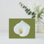 White Calla Blume Gartengarten Foto Postkarte (Stehend Vorderseite)