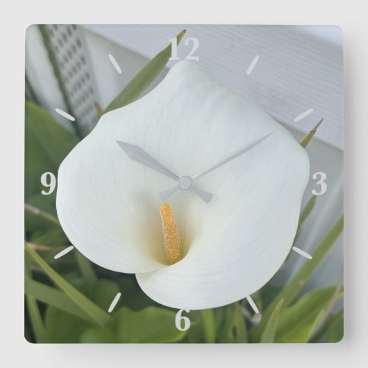 White Calla Blume Gartengarten Foto Quadratische Wanduhr (Vorderseite)