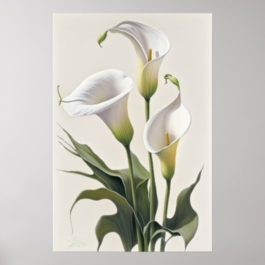 White Calla Lilies Lily Blume Art Print Poster (Vorne)