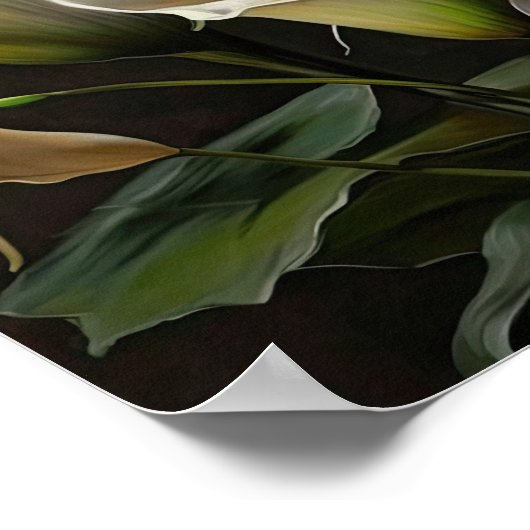 White Calla Lilies Lily Blume Art Print Poster (Ecke)