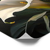 White Calla Lilies Lily Blume Art Print Poster (Ecke)