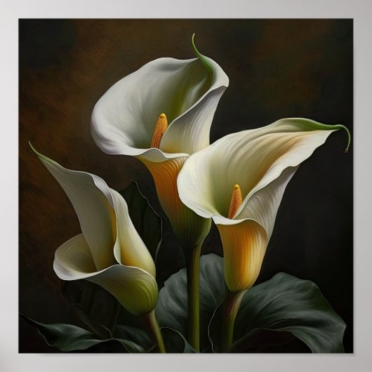 White Calla Lilies Lily Blume Art Print Poster (Vorne)
