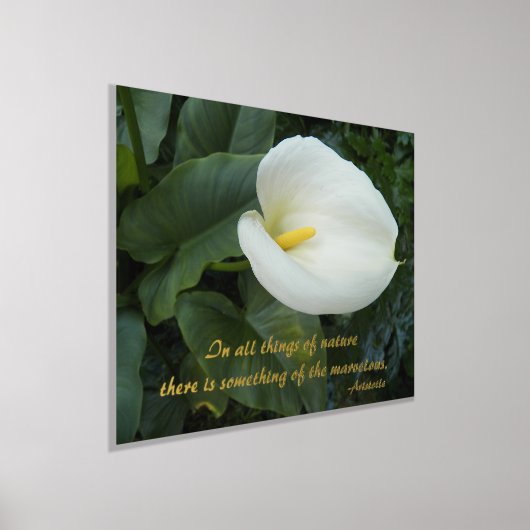 White Calla Lily Aristoteles Philosophisches Zitat Foliendrucke (Ablage )