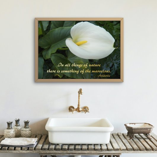 White Calla Lily Aristoteles Philosophisches Zitat Foliendrucke