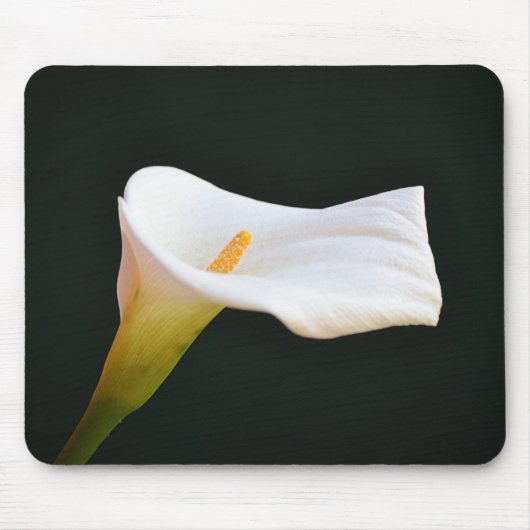 White Calla Lily Blume Mouse Pad Mousepad (Vorne)