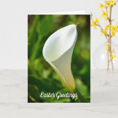 White Calla Lily Blume Ostercard Karte (Gelbe Blume)