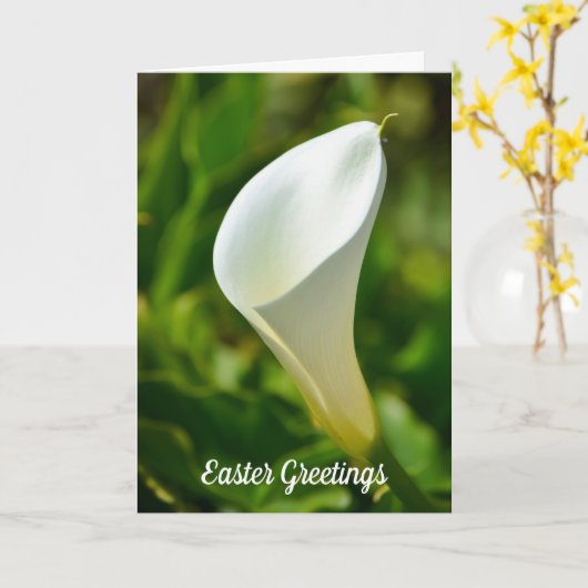 White Calla Lily Blume Ostercard Karte (Gelbe Blume)