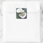White Calla Lily Blume Quadratischer Aufkleber (Tasche)