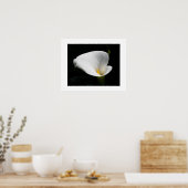 White Calla Lily Floral Fotografie Poster (Küche)