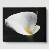 White Calla Lily Floral Memorial Service Gästebuch (Rückseite)